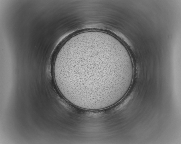 X0000111850830200908131437