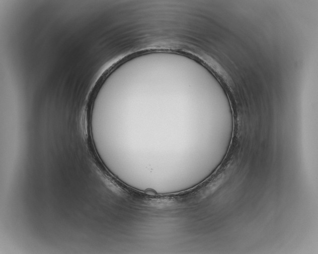 X0000111850838200908131437