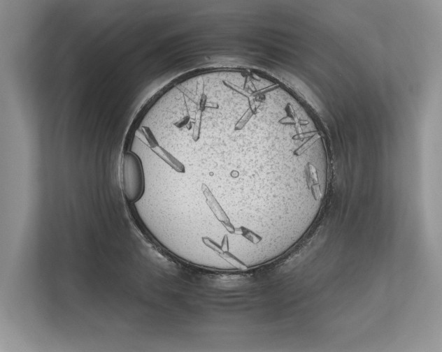 X0000111850839200908131437