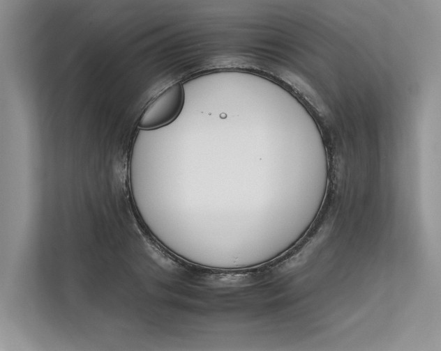 X0000111850841200908131437