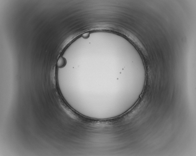 X0000111850842200908131437