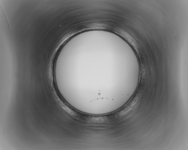 X0000111850843200908131437