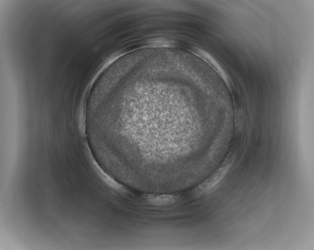 X0000111850851200908131437