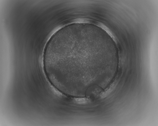 X0000111850853200908131437