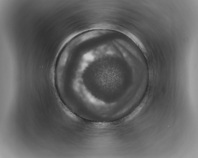 X0000111850854200908131437