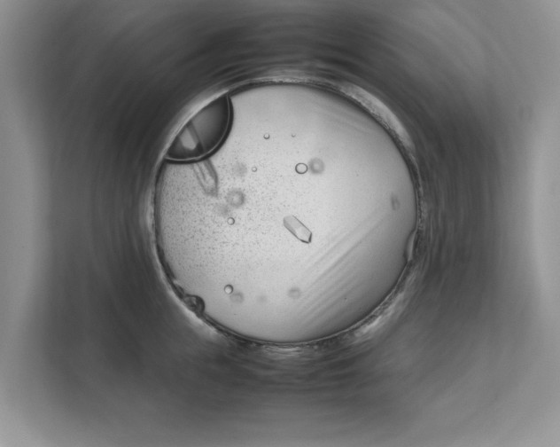 X0000111850855200908131437