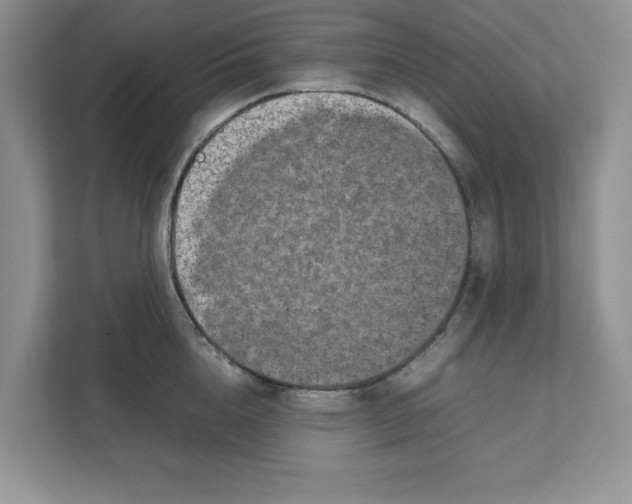 X0000111850856200908131437