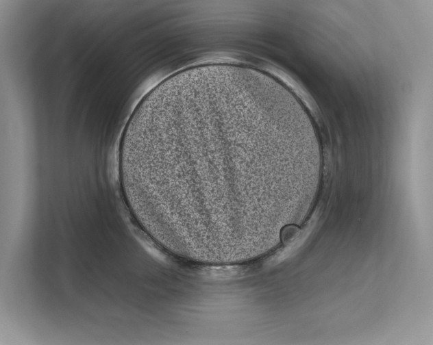 X0000111850858200908131437