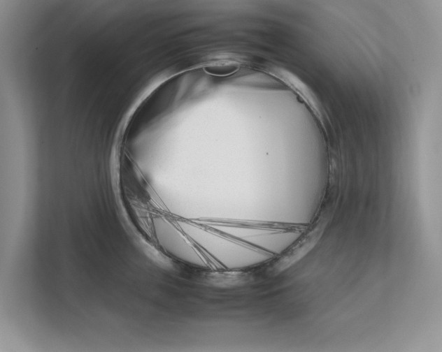 X0000111850859200908131437