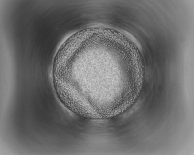 X0000111850863200908131437