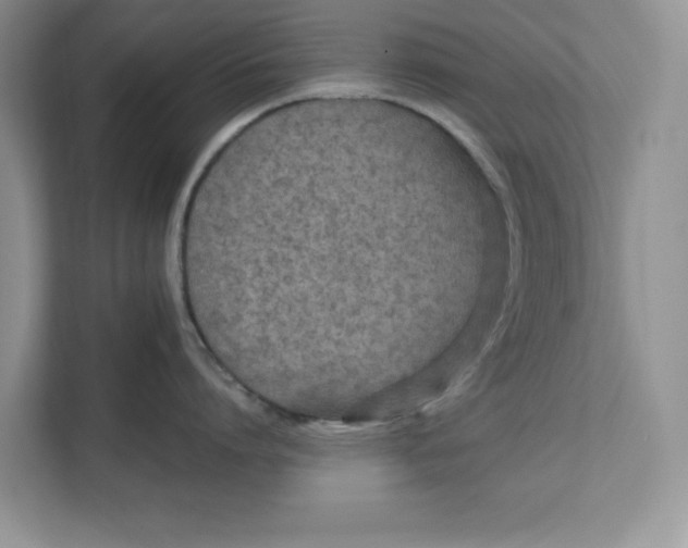 X0000111850864200908131437