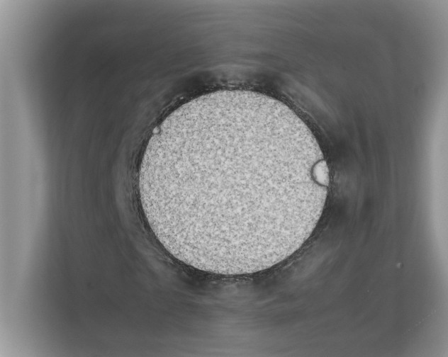 X0000111850865200908131437