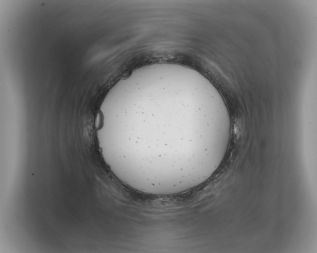 X0000111850867200908131437