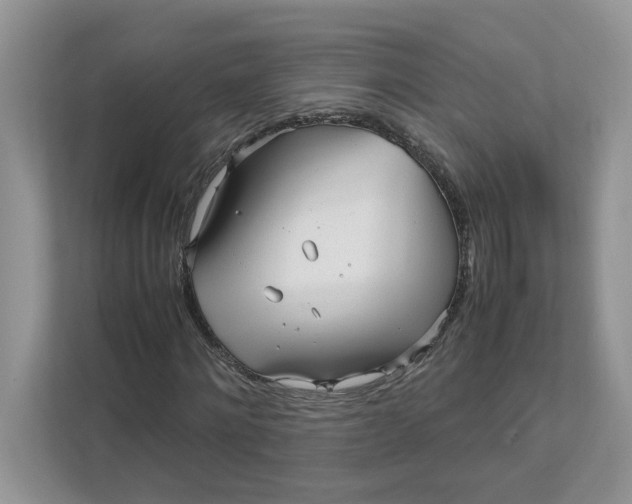 X0000111850868200908131437