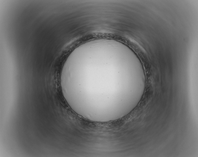 X0000111850870200908131437