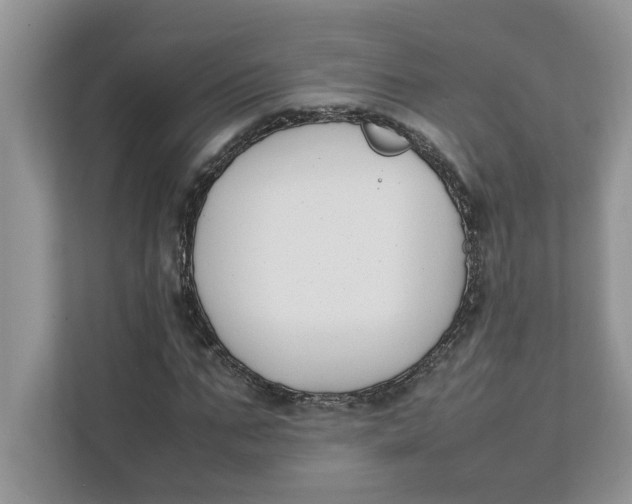 X0000111850871200908131437