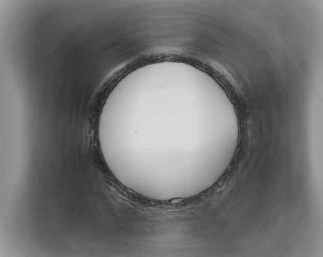 X0000111850872200908131437