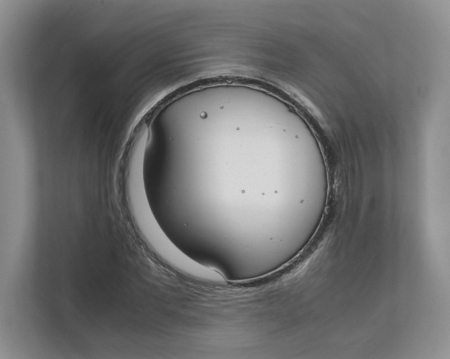 X0000111850877200908131437