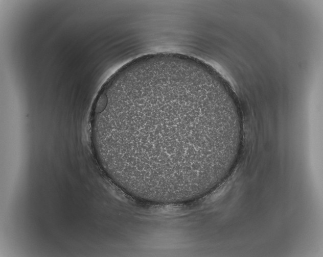 X0000111850879200908131437