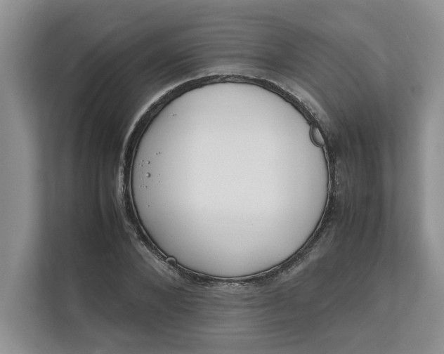 X0000111850880200908131437