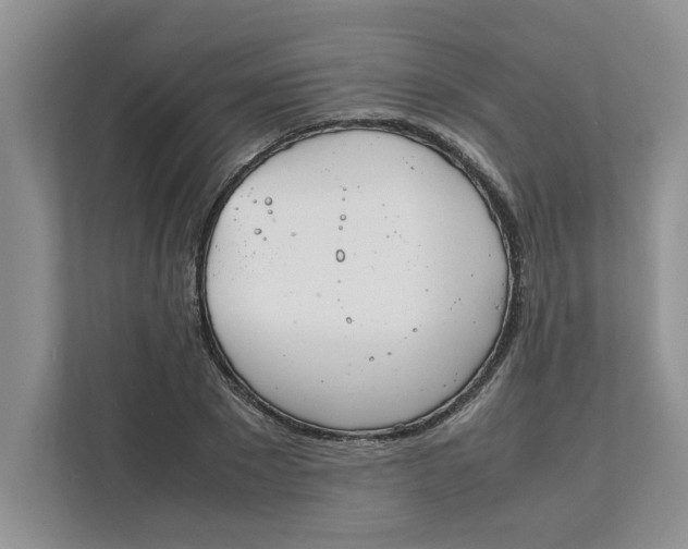 X0000111850881200908131437