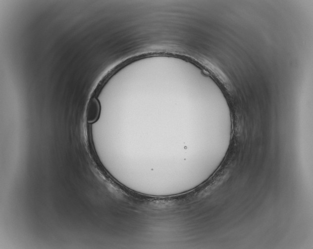 X0000111850888200908131437