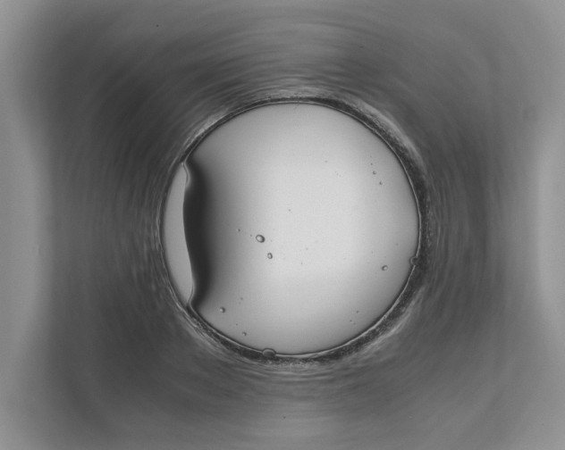 X0000111850889200908131437