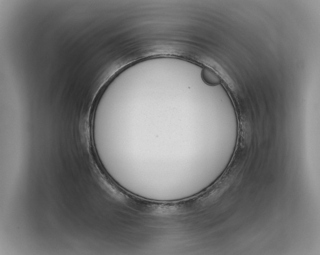 X0000111850890200908131437