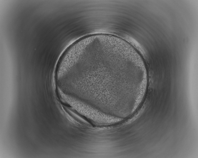 X0000111850892200908131436