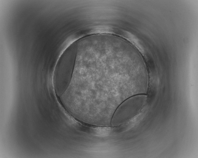 X0000111850893200908131436