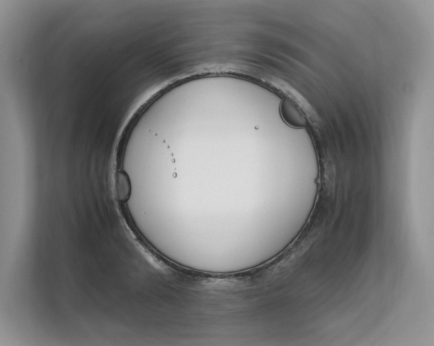 X0000111850894200908131436