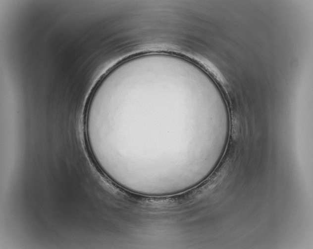 X0000111850895200908131436