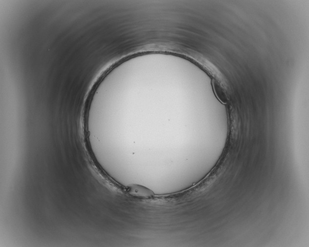 X0000111850896200908131436