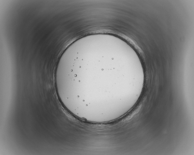 X0000111850897200908131436