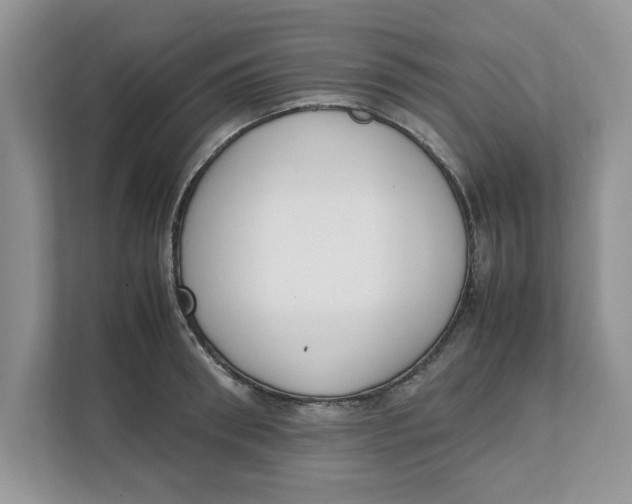 X0000111850898200908131436