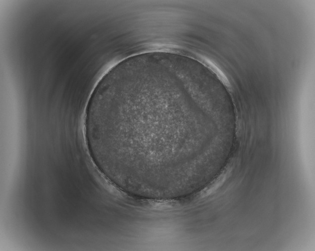 X0000111850899200908131436