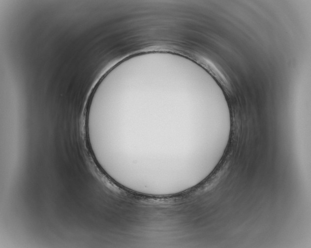 X0000111850900200908131436