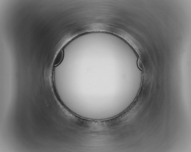 X0000111850901200908131436