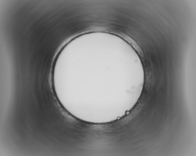 X0000111850904200908131436