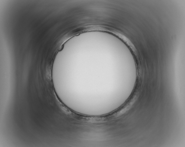 X0000111850905200908131436