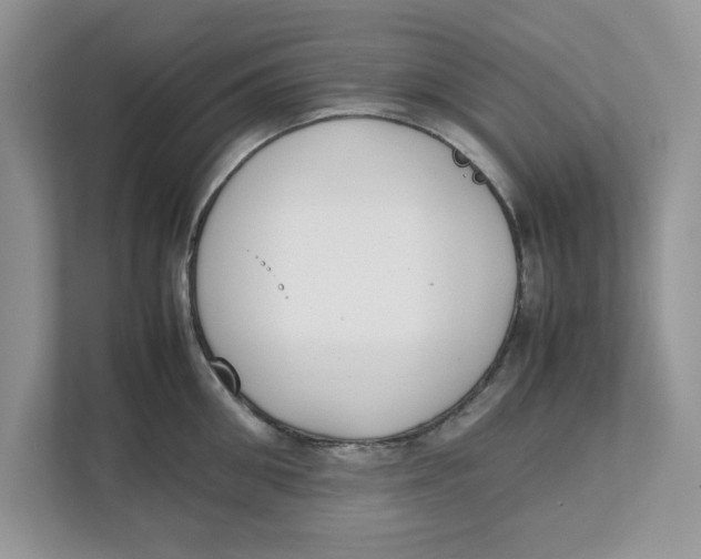 X0000111850906200908131436