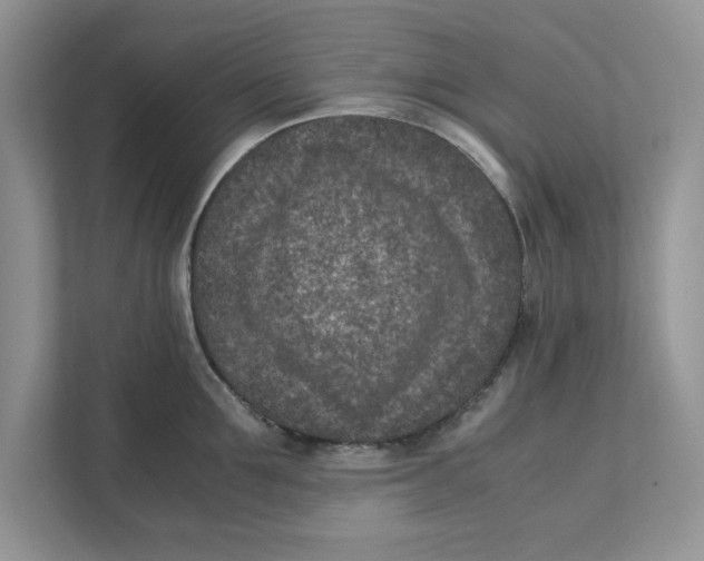 X0000111850907200908131436