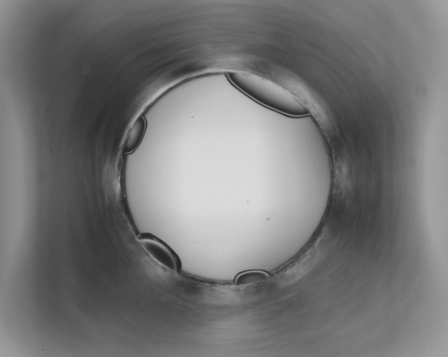 X0000111850908200908131436