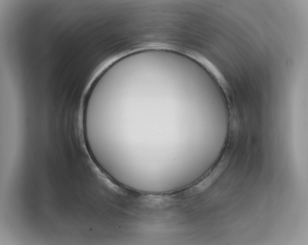 X0000111850910200908131436