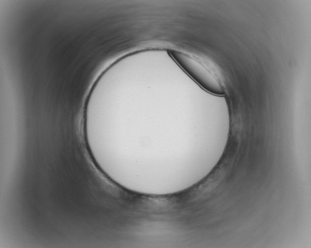 X0000111850911200908131436