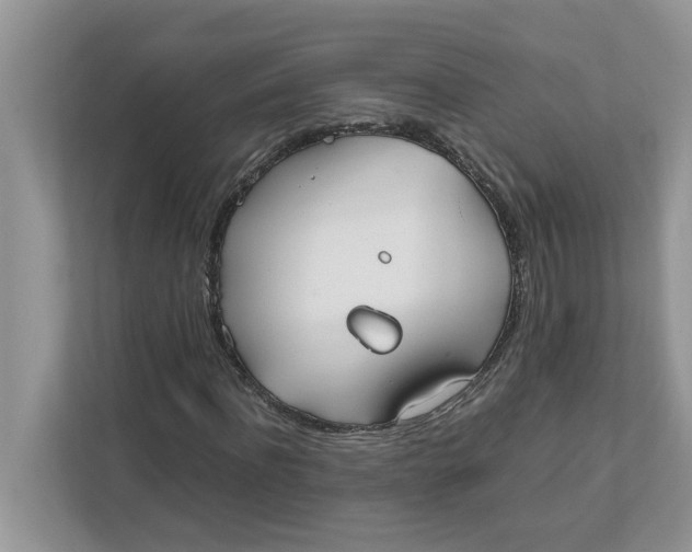 X0000111850916200908131436