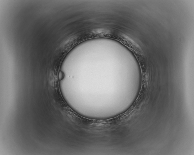 X0000111850917200908131436