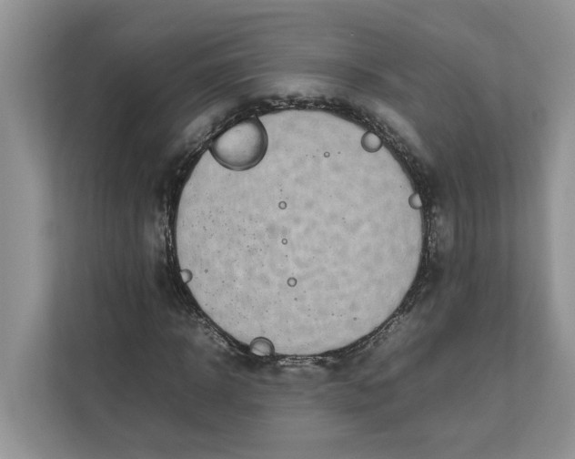 X0000111850918200908131436