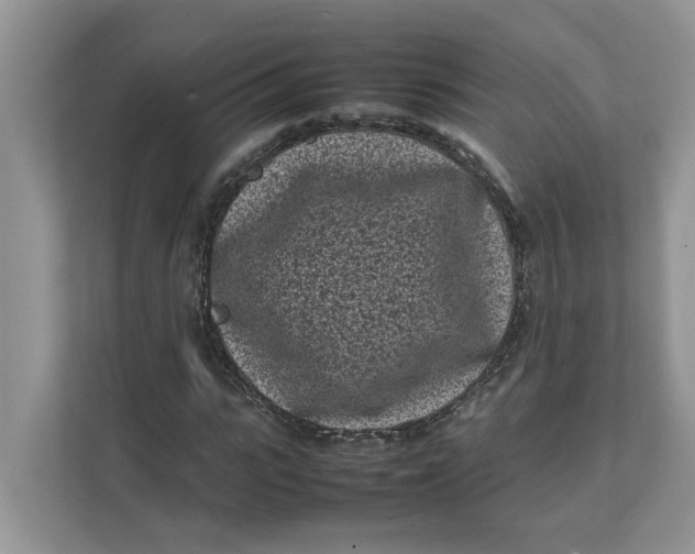 X0000111850919200908131436