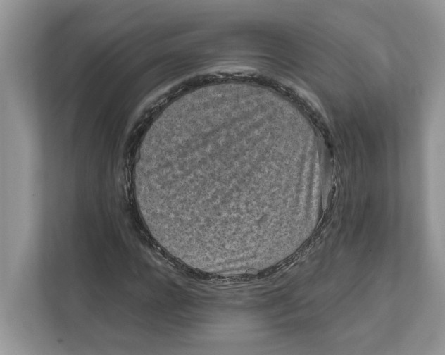 X0000111850920200908131436